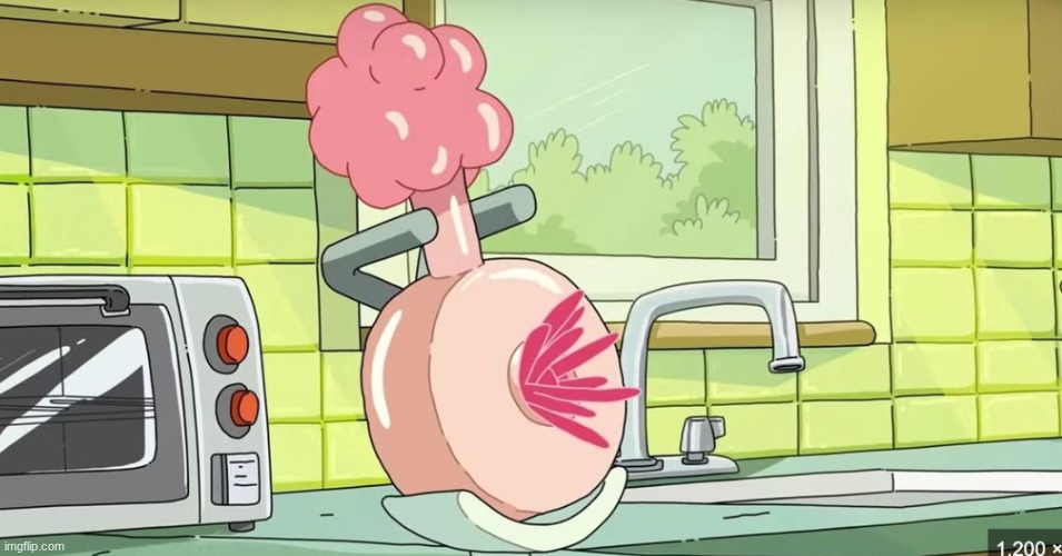 Plumbus | image tagged in plumbus | made w/ Imgflip meme maker