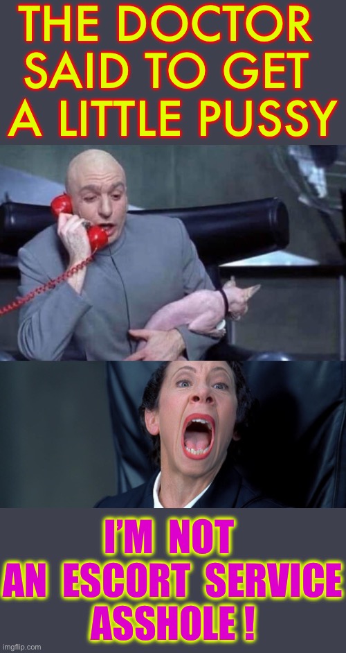 Can U Help A Man Out ???  : ) | THE DOCTOR 
SAID TO GET 
A LITTLE PUSSY; I’M  NOT 
AN  ESCORT  SERVICE
ASSHOLE ! | image tagged in dr evil and frau | made w/ Imgflip meme maker