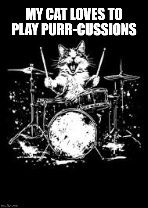 My cat loves to play the purrcussions. | MY CAT LOVES TO PLAY PURR-CUSSIONS | image tagged in cat,kittens,funny,humor,drums,play on words | made w/ Imgflip meme maker