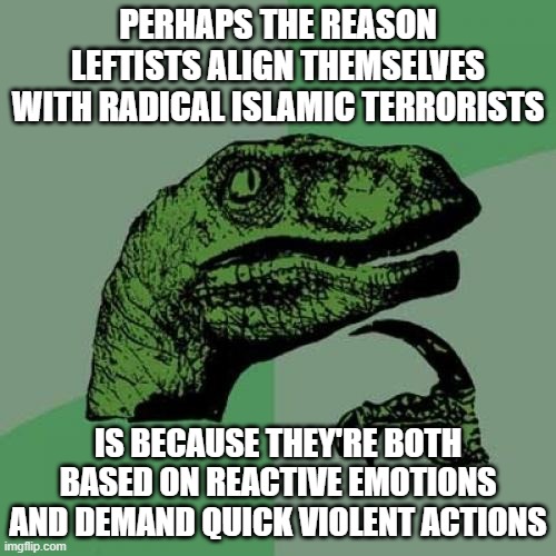 Philosoraptor | PERHAPS THE REASON LEFTISTS ALIGN THEMSELVES WITH RADICAL ISLAMIC TERRORISTS; IS BECAUSE THEY'RE BOTH BASED ON REACTIVE EMOTIONS AND DEMAND QUICK VIOLENT ACTIONS | image tagged in memes,philosoraptor | made w/ Imgflip meme maker