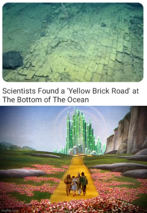 The Wizard of Oz reference | image tagged in yellow brick road,the wizard of oz,wizard of oz,reference,science,memes | made w/ Imgflip meme maker