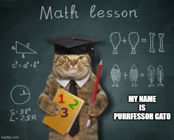 My name is Purrfessor Gato said the cat. | MY NAME IS PURRFESSOR GATO | image tagged in cat,kittens,funny,humor,play on words | made w/ Imgflip meme maker