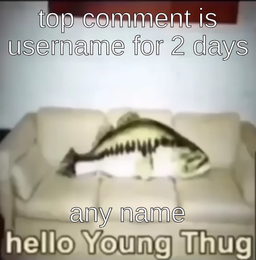 Hello Young Thug | top comment is username for 2 days; any name | image tagged in hello young thug | made w/ Imgflip meme maker