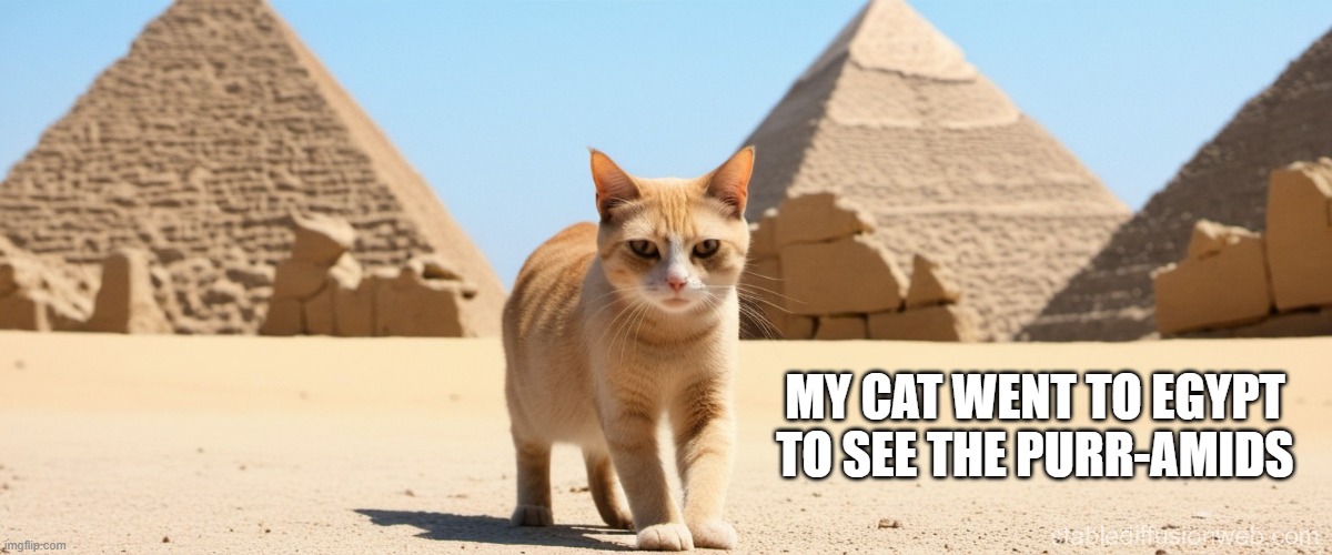 The cat went to Egypt just to see the purramids. | MY CAT WENT TO EGYPT TO SEE THE PURR-AMIDS | image tagged in cat,kittens,funny,humor,egypt,ancient egypt | made w/ Imgflip meme maker