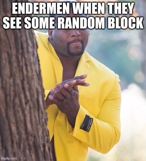 Black guy hiding behind tree | ENDERMEN WHEN THEY SEE SOME RANDOM BLOCK | image tagged in black guy hiding behind tree | made w/ Imgflip meme maker
