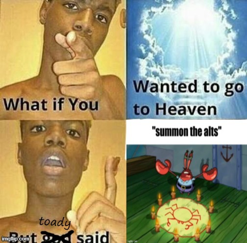 toady alt online | image tagged in what | made w/ Imgflip meme maker