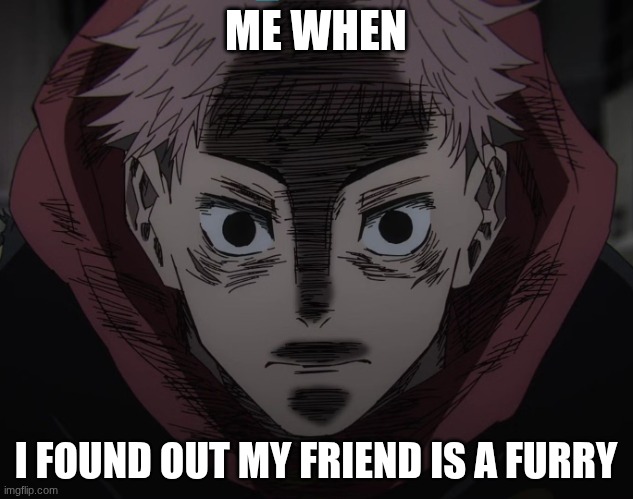 ? | ME WHEN; I FOUND OUT MY FRIEND IS A FURRY | image tagged in yuji hopeless | made w/ Imgflip meme maker