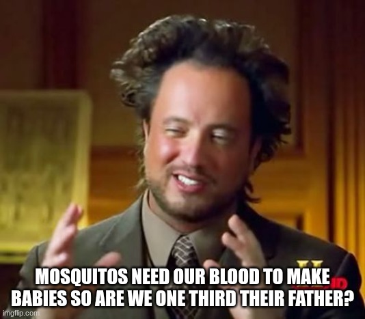 Ancient Aliens Meme | MOSQUITOS NEED OUR BLOOD TO MAKE BABIES SO ARE WE ONE THIRD THEIR FATHER? | image tagged in memes,ancient aliens | made w/ Imgflip meme maker