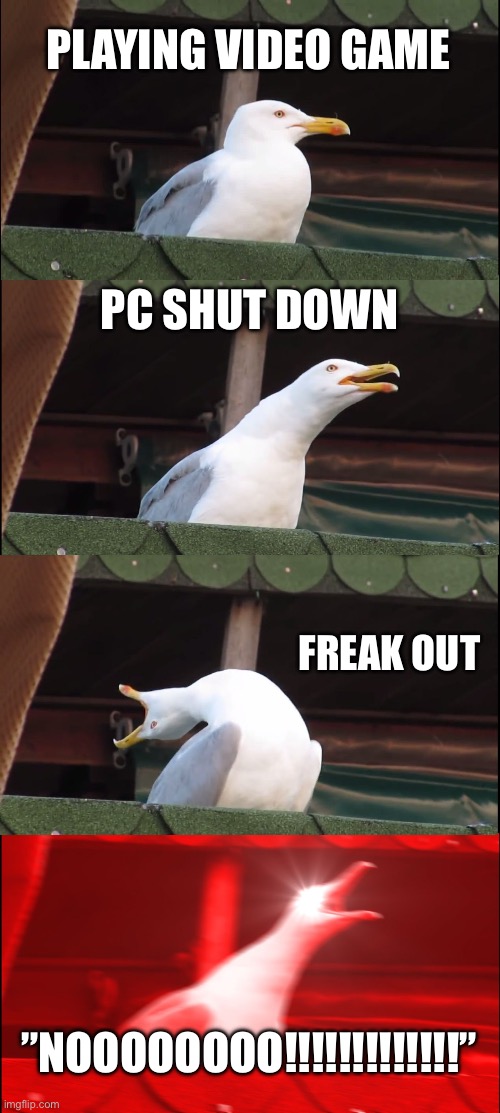 “NOOOOOO!!!!!!” | PLAYING VIDEO GAME; PC SHUT DOWN; FREAK OUT; ”NOOOOOOOO!!!!!!!!!!!!!” | image tagged in memes,inhaling seagull,video games | made w/ Imgflip meme maker