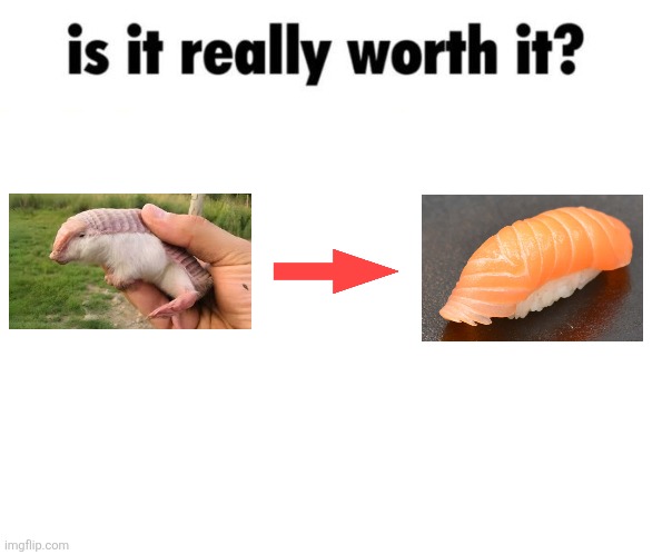 Pink Fairy Armadillos | image tagged in is it really worth it,memes,animal meme,food memes,shitpost,lol | made w/ Imgflip meme maker