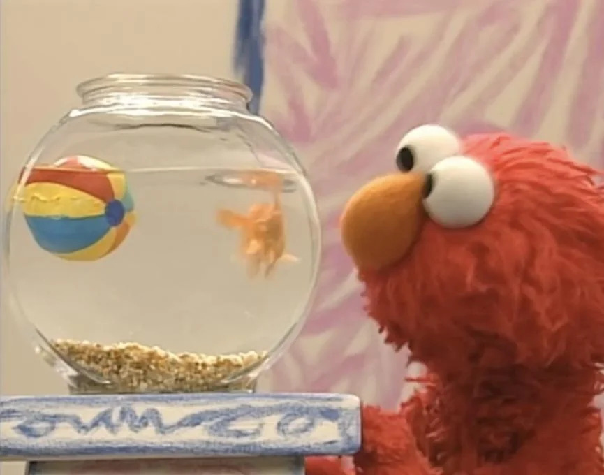 Elmo and Dorothy Blank Meme Template