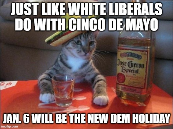 Tequila Cat | JUST LIKE WHITE LIBERALS DO WITH CINCO DE MAYO JAN. 6 WILL BE THE NEW DEM HOLIDAY | image tagged in tequila cat | made w/ Imgflip meme maker