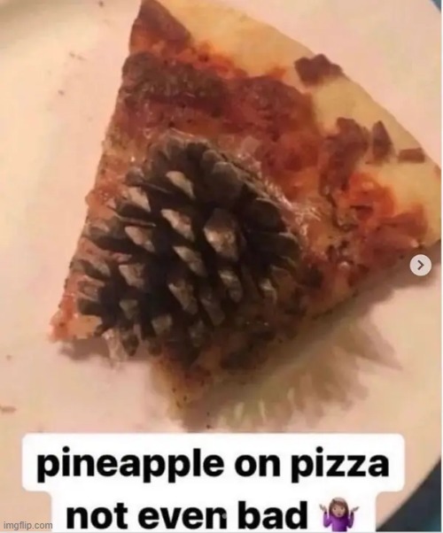 pineapple pizza | image tagged in what | made w/ Imgflip meme maker