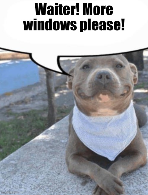 Waiter more x please | Waiter! More windows please! | image tagged in waiter more x please | made w/ Imgflip meme maker