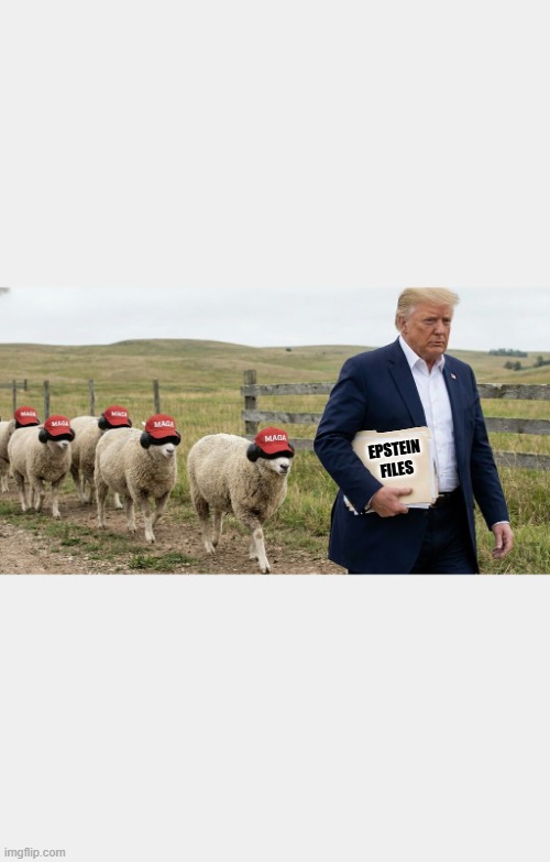 EPSTEIN FILES | EPSTEIN
FILES | image tagged in trump,maga,jeffrey epstein,sexual predator,child abuse,pedophile | made w/ Imgflip meme maker