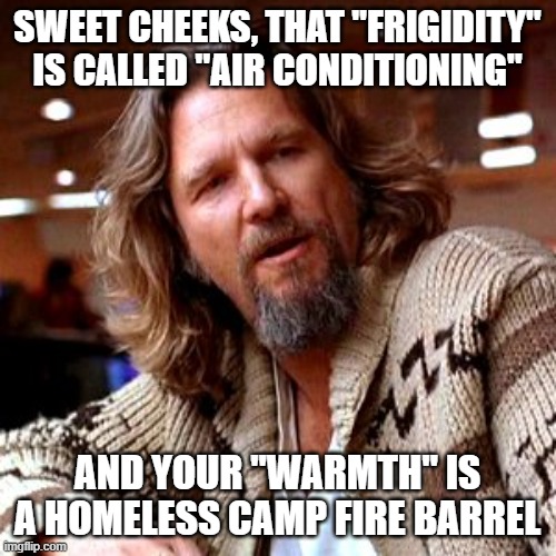 Confused Lebowski Meme | SWEET CHEEKS, THAT "FRIGIDITY" IS CALLED "AIR CONDITIONING" AND YOUR "WARMTH" IS A HOMELESS CAMP FIRE BARREL | image tagged in memes,confused lebowski | made w/ Imgflip meme maker