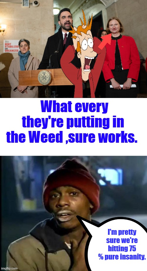 Should we laugh or should we cry ?  A Red Headed Commie she has a Sh*t grin also. that 1 on the left Janet Napolitano jr. | What every they're putting in the Weed ,sure works. I'm pretty sure we're hitting 75 % pure insanity. | image tagged in memes,y'all got any more of that | made w/ Imgflip meme maker