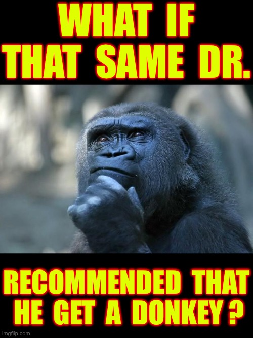 Are You Even Listening ?  TRUTH BOMB !!!  : ) | WHAT  IF
THAT  SAME  DR. RECOMMENDED  THAT
 HE  GET  A  DONKEY ? | image tagged in deep thoughts | made w/ Imgflip meme maker