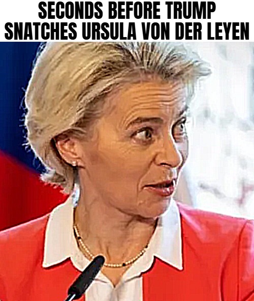 SECONDS BEFORE TRUMP SNATCHES URSULA VON DER LEYEN | image tagged in european union,donald trump,funny,politics | made w/ Imgflip meme maker
