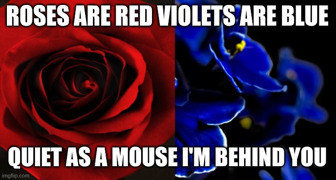 Roses are Red, Violets are Blue. | ROSES ARE RED VIOLETS ARE BLUE; QUIET AS A MOUSE I'M BEHIND YOU | image tagged in roses are red violets are blue | made w/ Imgflip meme maker