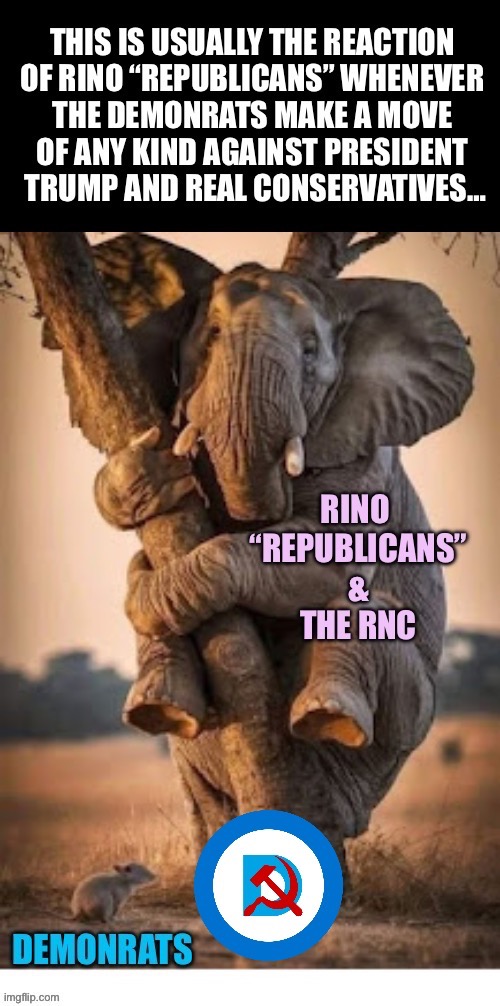 They only exist to help the Democrats and serve their own interests… | image tagged in political meme,rinos,weak,scared,aiding and abetting,uniparty | made w/ Imgflip meme maker