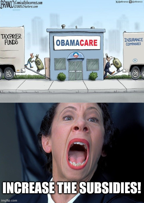 INCREASE THE SUBSIDIES! | image tagged in frau farbissina | made w/ Imgflip meme maker