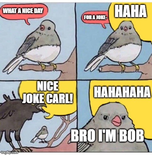 poor bob | HAHA; WHAT A NICE DAY; FOR A JOKE-; NICE JOKE CARL! HAHAHAHA; BRO I'M BOB | image tagged in annoyed bird | made w/ Imgflip meme maker