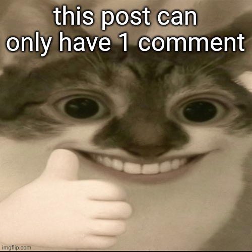 bombastic side eye cat v3 | this post can only have 1 comment | image tagged in bombastic side eye cat v3 | made w/ Imgflip meme maker