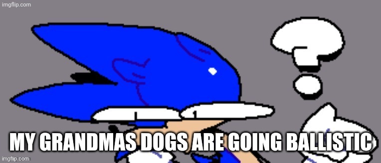 huh? | MY GRANDMAS DOGS ARE GOING BALLISTIC | image tagged in huh | made w/ Imgflip meme maker