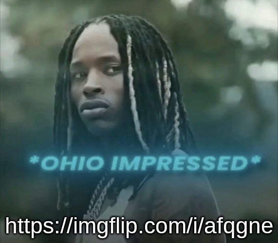 if my ass is going to waste 2 weeks of my life collecting data that  SOME people will blatantly ignore, at least front page it | https://imgflip.com/i/afqgne | image tagged in ohio impressed | made w/ Imgflip meme maker