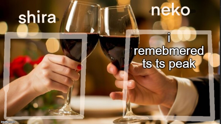 shira and neko shared temp | i remebmered ts ts peak | image tagged in shira and neko shared temp | made w/ Imgflip meme maker