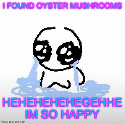 Me when | I FOUND OYSTER MUSHROOMS; HEHEHEHEHEGEHHE IM SO HAPPY | image tagged in me when | made w/ Imgflip meme maker