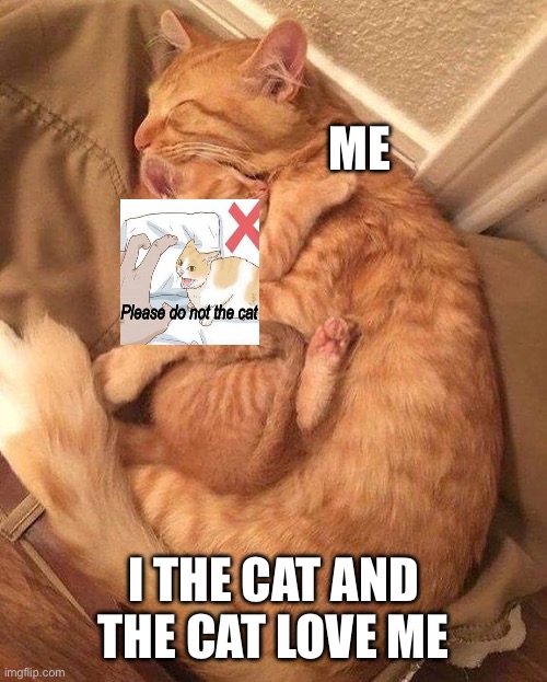 CAT SNUGGLES | ME I THE CAT AND THE CAT LOVE ME | image tagged in cat snuggles | made w/ Imgflip meme maker