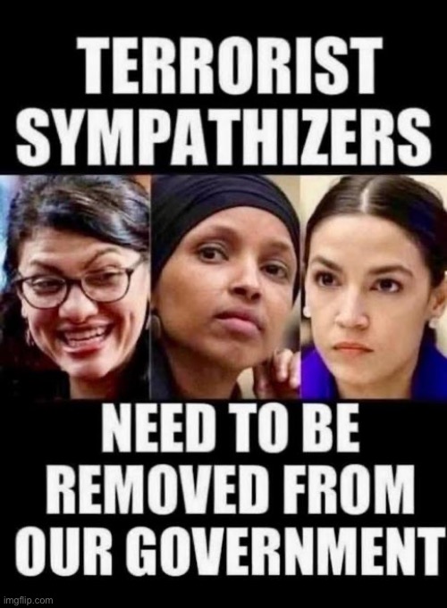 Three of the absolute worst that the Demonrats have to offer… | image tagged in political meme,sympathizers,terrorists,ilhan omar,rashida tlaib,crazy aoc | made w/ Imgflip meme maker