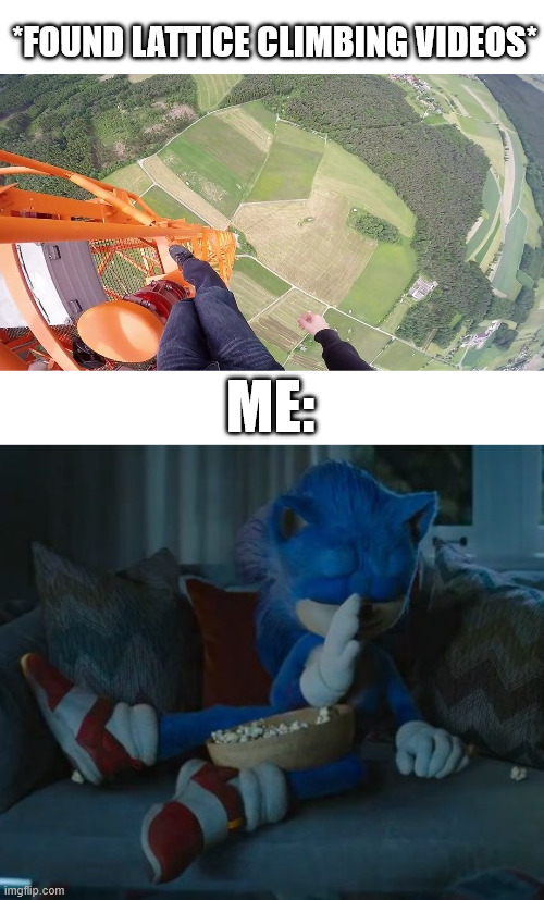 Sonic, Nightmare Fuel | *FOUND LATTICE CLIMBING VIDEOS*; ME: | image tagged in sonic the hedgehog,lattice climbing,horror,memes,latticeclimbing,nightmares | made w/ Imgflip meme maker