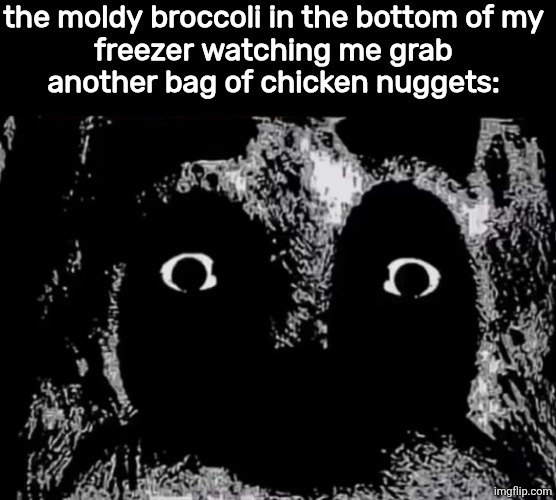 the moldy broccoli in the bottom of my
 freezer watching me grab 
another bag of chicken nuggets: | made w/ Imgflip meme maker