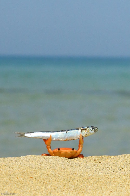 GONE FISHIN | image tagged in gone fishin | made w/ Imgflip meme maker