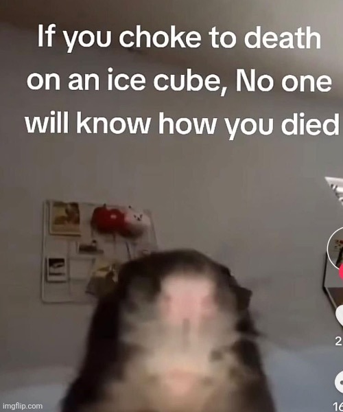 If you choke to death on an ice cube, No one will know how you died | made w/ Imgflip meme maker