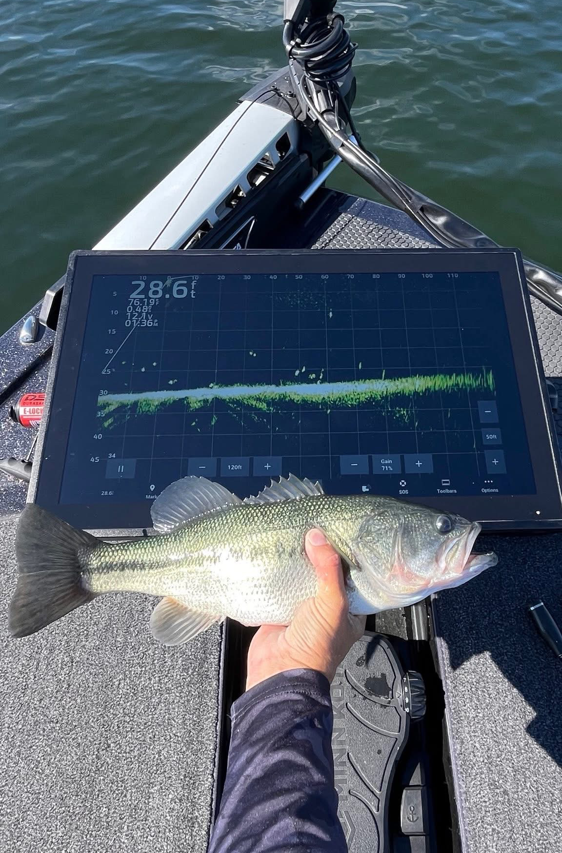 Big bass big fish finder Blank Meme Template