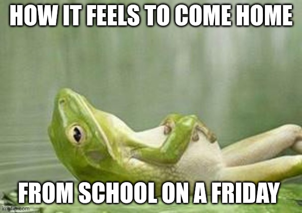 relax frog | HOW IT FEELS TO COME HOME; FROM SCHOOL ON A FRIDAY | image tagged in relax frog | made w/ Imgflip meme maker