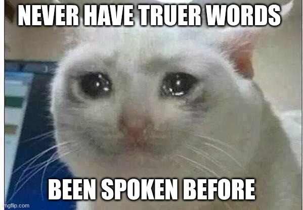 crying cat | NEVER HAVE TRUER WORDS BEEN SPOKEN BEFORE | image tagged in crying cat | made w/ Imgflip meme maker