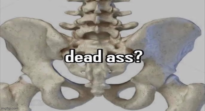 E | image tagged in dead,skeleton,msmg | made w/ Imgflip meme maker