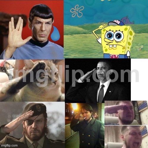 Salutes | image tagged in salutes | made w/ Imgflip meme maker