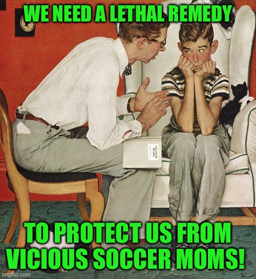Norman Rockwell  | WE NEED A LETHAL REMEDY; TO PROTECT US FROM VICIOUS SOCCER MOMS! | image tagged in norman rockwell | made w/ Imgflip meme maker