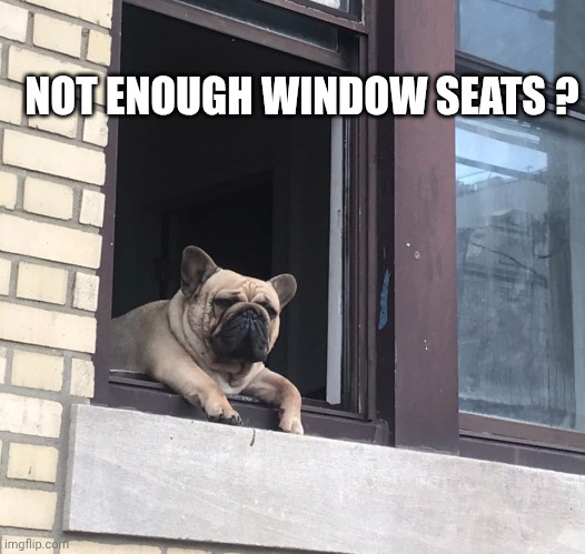 Dog hanging out The window | NOT ENOUGH WINDOW SEATS ? | image tagged in dog hanging out the window | made w/ Imgflip meme maker