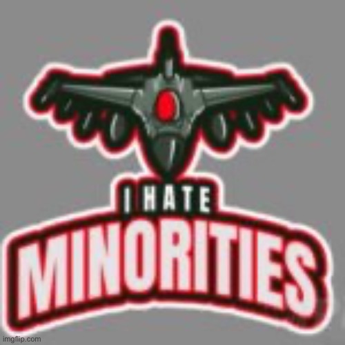 i hate minorities | image tagged in i hate minorities | made w/ Imgflip meme maker