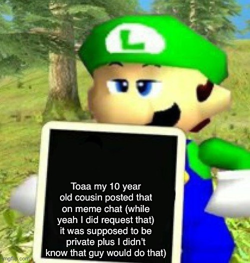 Just to clarify  | Toaa my 10 year old cousin posted that on meme chat (while yeah I did request that) it was supposed to be private plus I didn’t know that guy would do that) | image tagged in luigi holding a sign | made w/ Imgflip meme maker