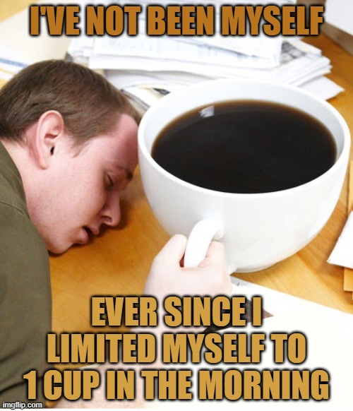 The best part of wa... zzZZZZ | I'VE NOT BEEN MYSELF; EVER SINCE I LIMITED MYSELF TO 1 CUP IN THE MORNING | image tagged in coffee morning sleeping desk,memes,limit,caffeine | made w/ Imgflip meme maker