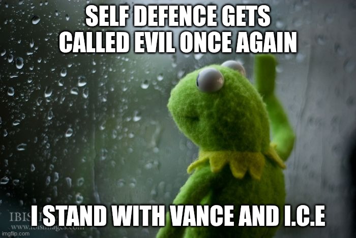 kermit window | SELF DEFENCE GETS CALLED EVIL ONCE AGAIN; I STAND WITH VANCE AND I.C.E | image tagged in kermit window | made w/ Imgflip meme maker
