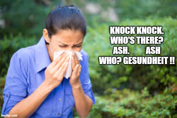 Knock knock. Who's there? Ash. Ash who? Gesundheit. | KNOCK KNOCK. WHO'S THERE? ASH.          ASH WHO? GESUNDHEIT !! | image tagged in humor,funny,knock knock,play on words,sneeze | made w/ Imgflip meme maker